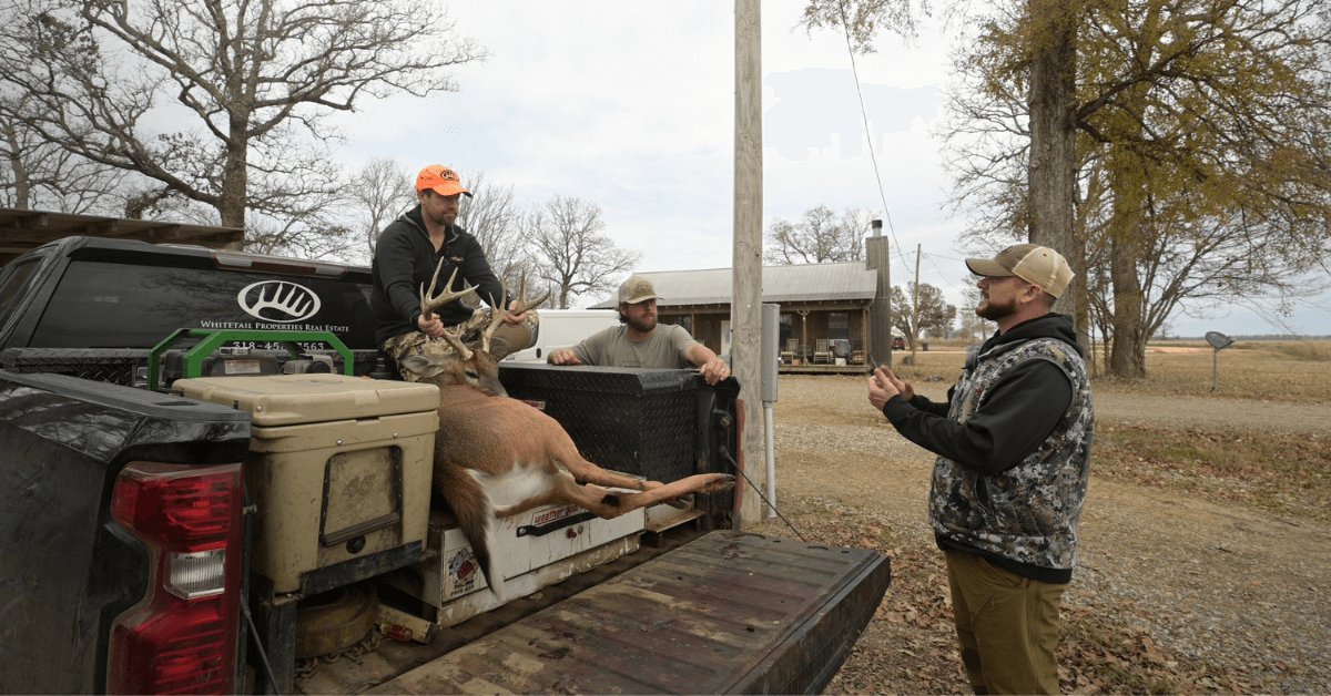 Featured Image for YETI Coolers: Rugged Companions for Game Hunters